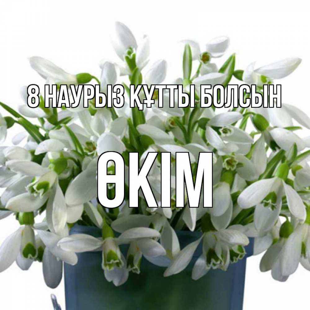 Күн сайын ашық хат с именем, ӨКІМ 8 наурыз құтты болсын цветы к международному женскому дню Онлайн тегін жүктеп алу тілектері бар керемет карта 