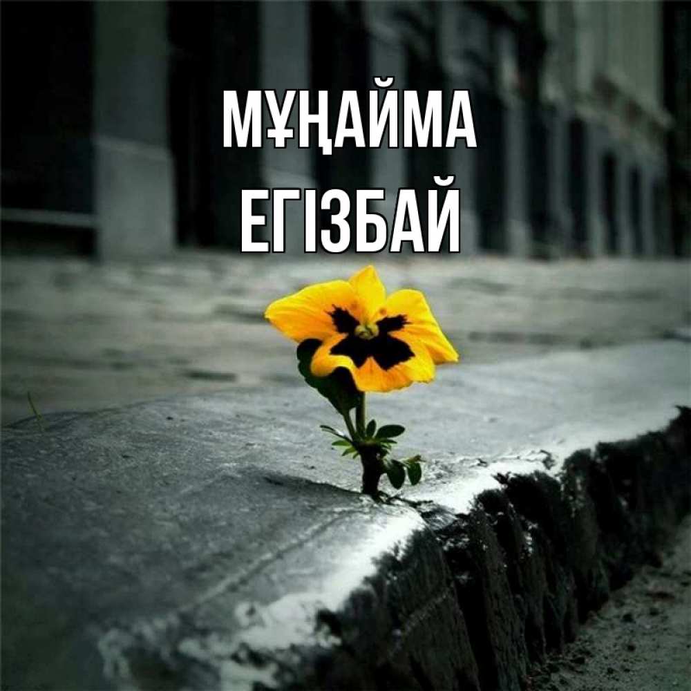 Күн сайын ашық хат с именем, Егізбай Мұңайма не сдавайся Онлайн тегін жүктеп алу тілектері бар керемет карта 