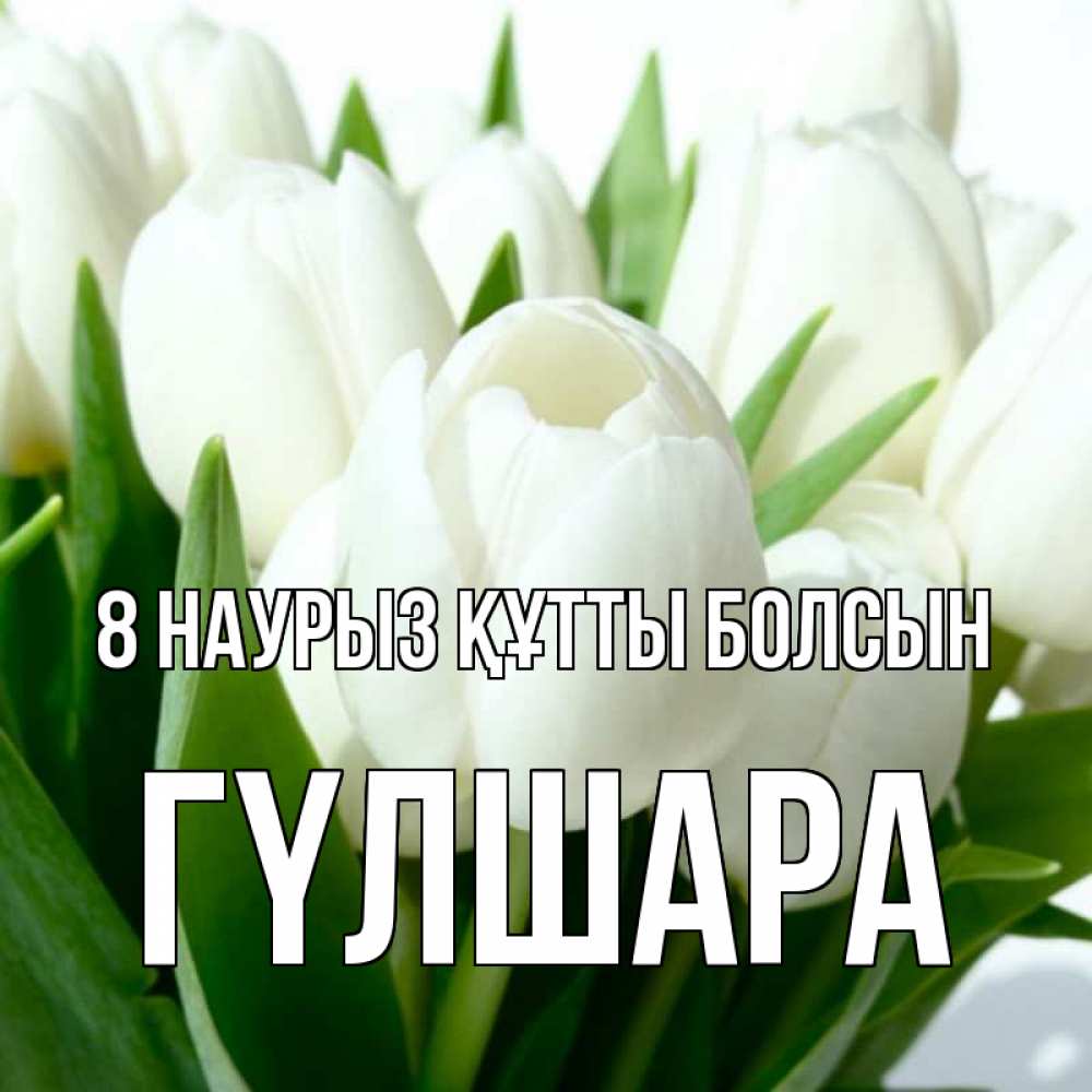 Күн сайын ашық хат с именем, ГҮЛШАРА 8 наурыз құтты болсын цветы Онлайн тегін жүктеп алу тілектері бар керемет карта 