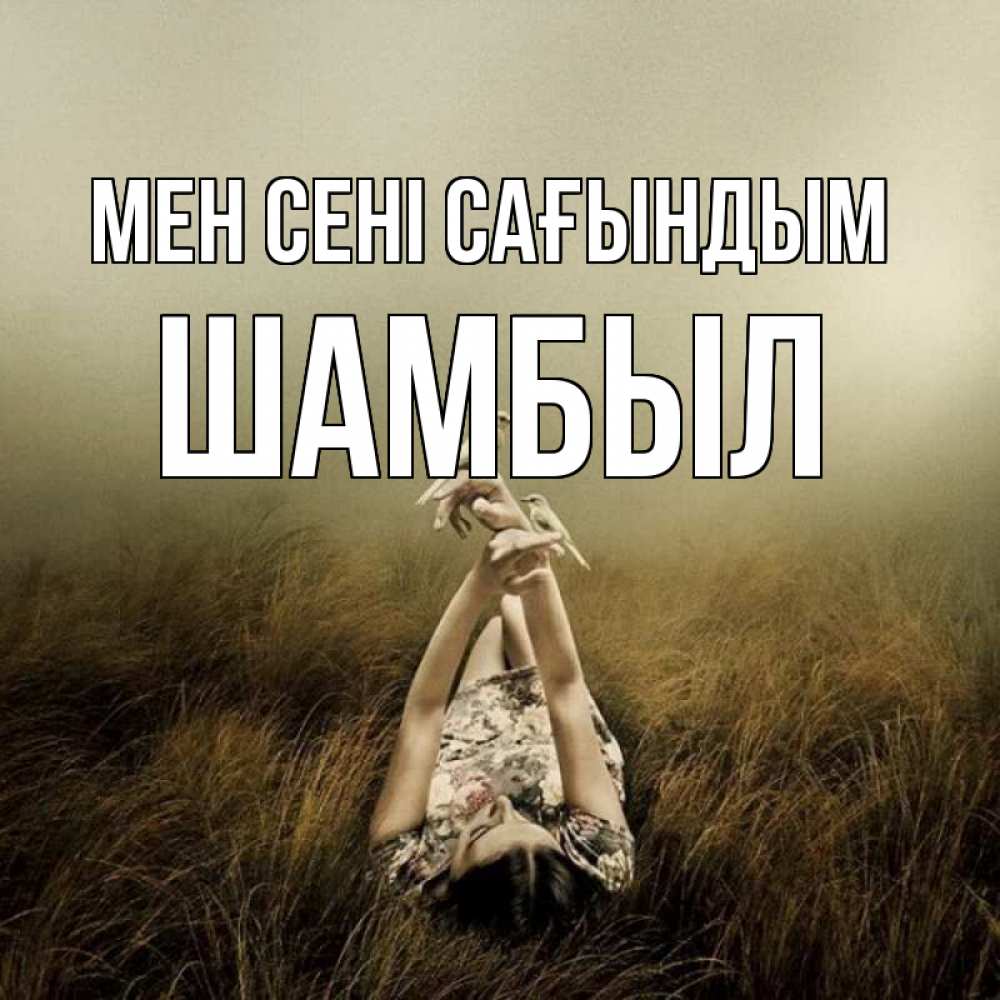 Күн сайын ашық хат с именем, ШАМБЫЛ Мен сені сағындым девушка с голубями Онлайн тегін жүктеп алу тілектері бар керемет карта 