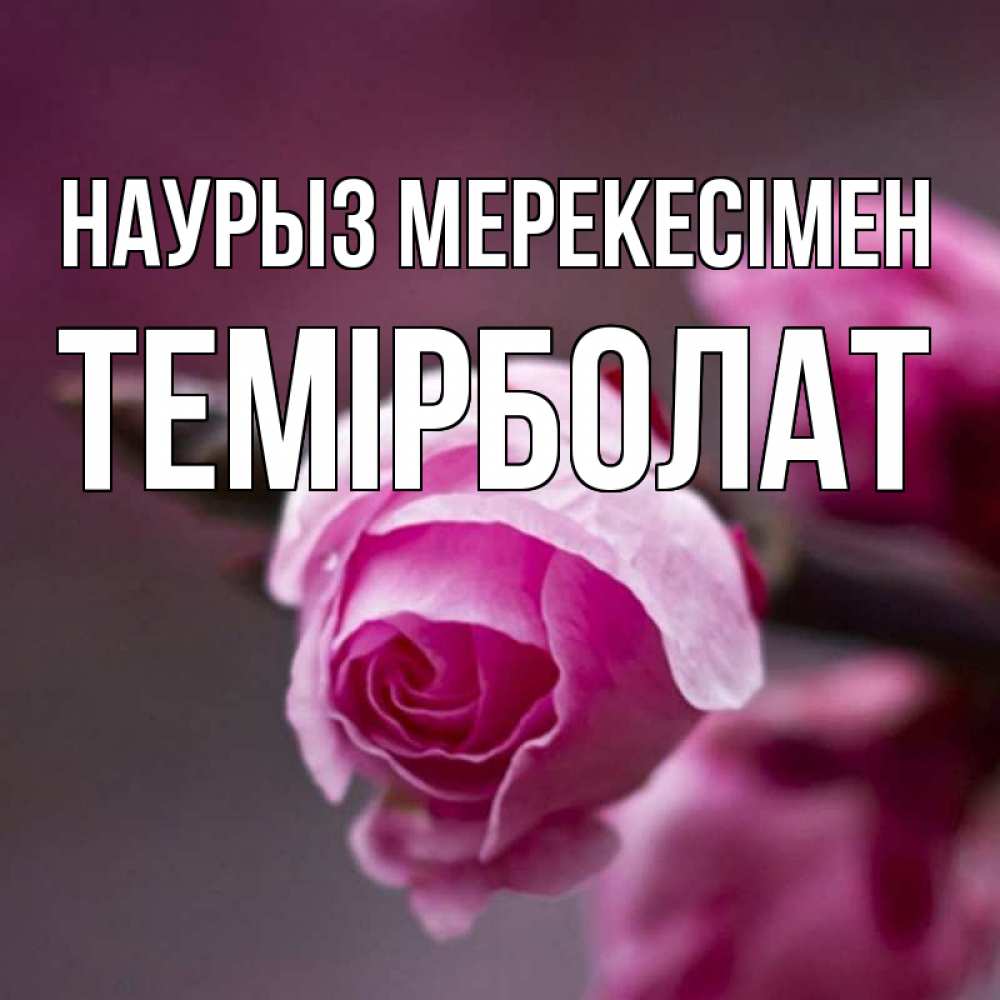Күн сайын ашық хат с именем, ТЕМІРБОЛАТ Наурыз мерекесімен весна Онлайн тегін жүктеп алу тілектері бар керемет карта 