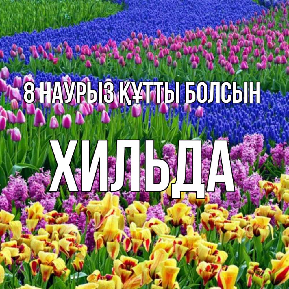 Күн сайын ашық хат с именем, Хильда 8 наурыз құтты болсын цветы Онлайн тегін жүктеп алу тілектері бар керемет карта 