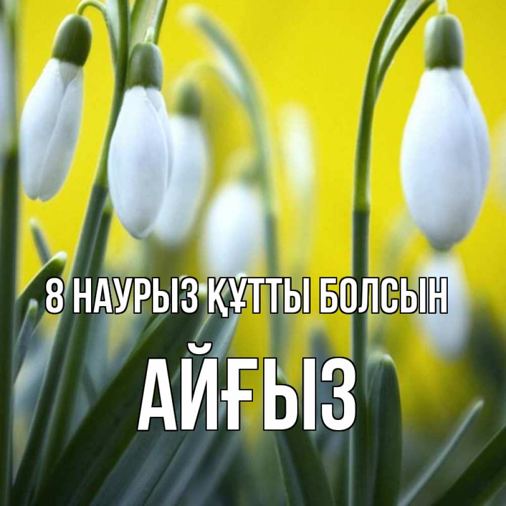 Күн сайын ашық хат с именем, АЙҒЫЗ 8 наурыз құтты болсын весенние цветы Онлайн тегін жүктеп алу тілектері бар керемет карта 
