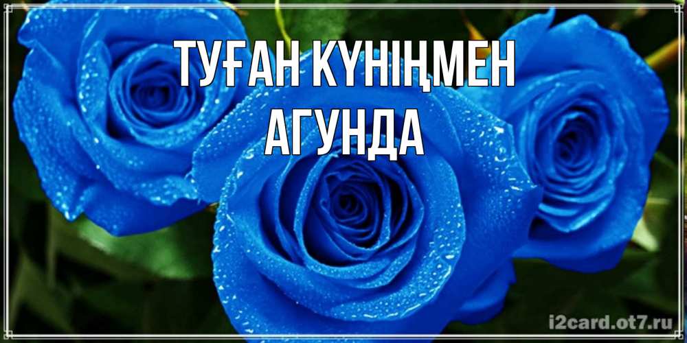 Күн сайын ашық хат с именем, Агунда Туған күніңмен розы с синим цветом Онлайн тегін жүктеп алу тілектері бар керемет карта 