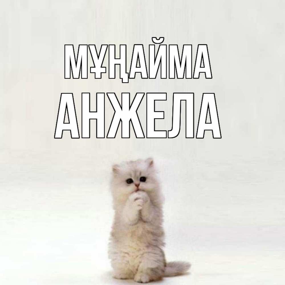 Күн сайын ашық хат с именем, Анжела Мұңайма грустный кот Онлайн тегін жүктеп алу тілектері бар керемет карта 