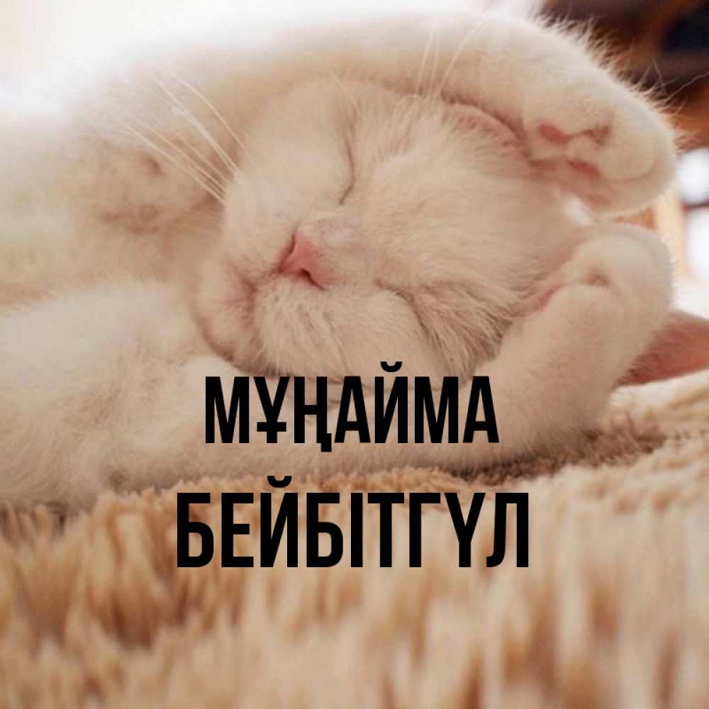 Күн сайын ашық хат с именем, БЕЙБІТГҮЛ Мұңайма Котенок спит Онлайн тегін жүктеп алу тілектері бар керемет карта 