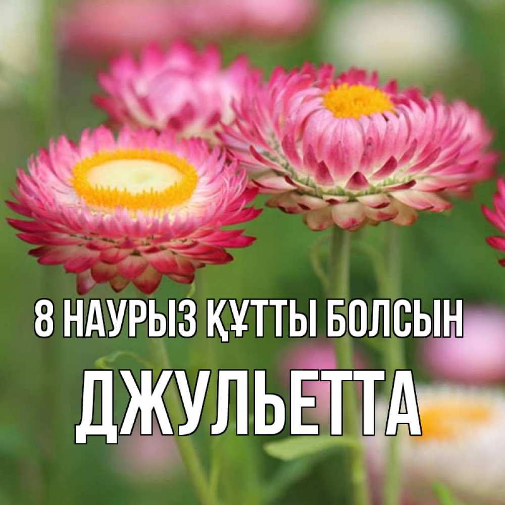 Күн сайын ашық хат с именем, Джульетта 8 наурыз құтты болсын подарок на международный женский день Онлайн тегін жүктеп алу тілектері бар керемет карта 