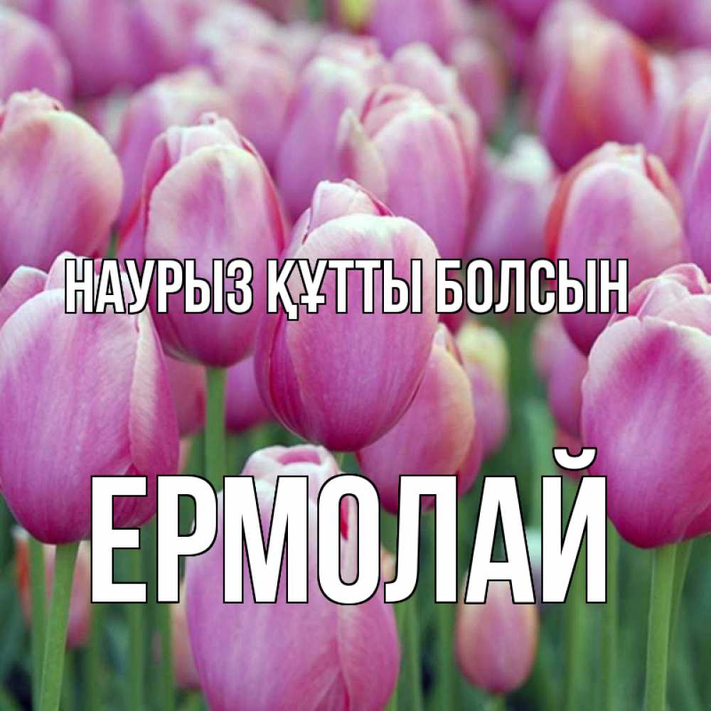 Күн сайын ашық хат с именем, Ермолай Наурыз құтты болсын на наурыз  день 3 Онлайн тегін жүктеп алу тілектері бар керемет карта 