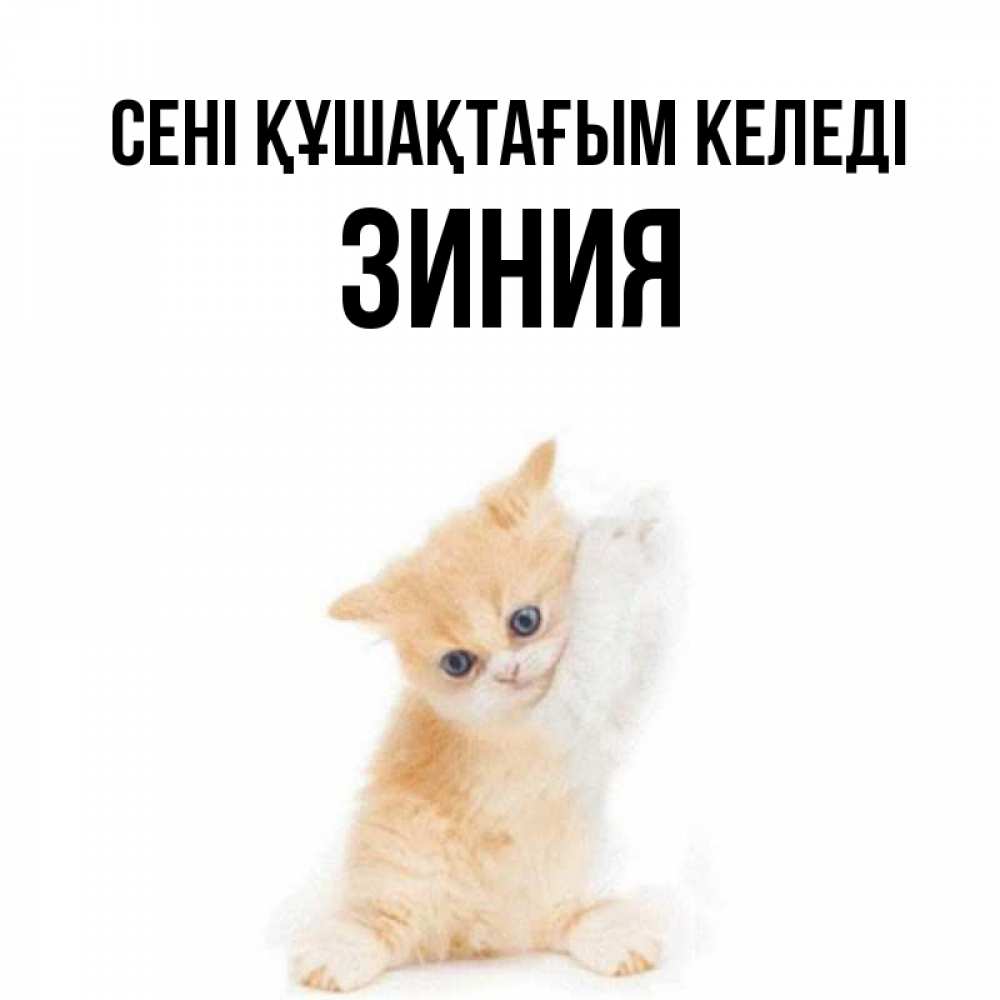 Күн сайын ашық хат с именем, ЗИНИЯ сені құшақтағым келеді я хочу очень скорее обнимаешек Онлайн тегін жүктеп алу тілектері бар керемет карта 