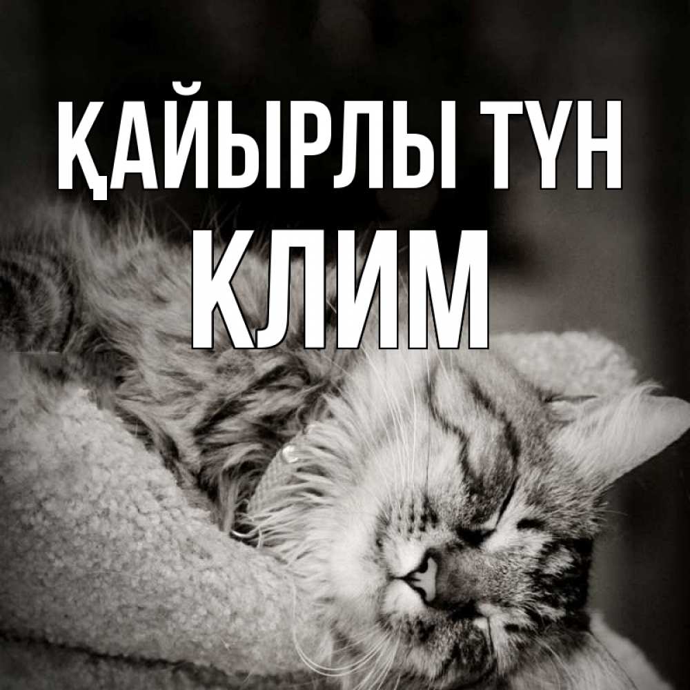 Күн сайын ашық хат с именем, Клим Қайырлы түн котярик пушистый Онлайн тегін жүктеп алу тілектері бар керемет карта 