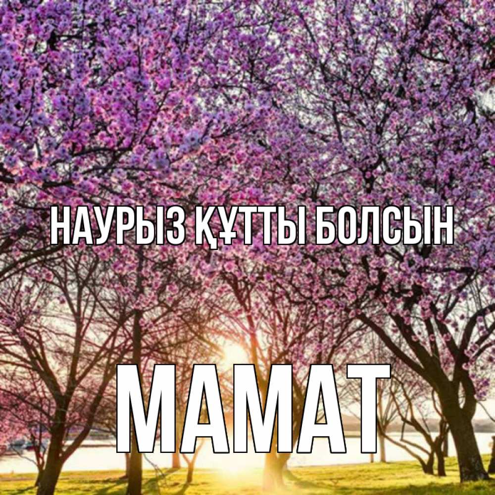 Күн сайын ашық хат с именем, МАМАТ Наурыз құтты болсын наурыз Онлайн тегін жүктеп алу тілектері бар керемет карта 