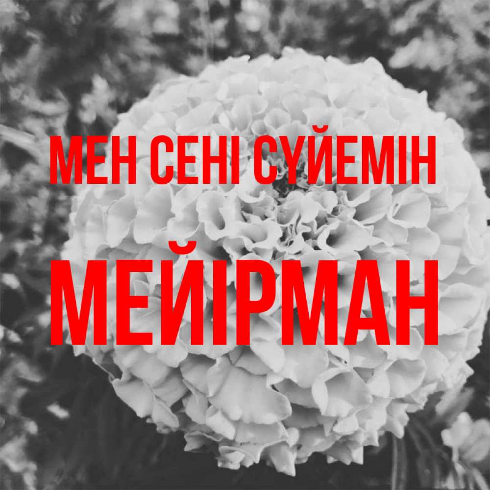 Күн сайын ашық хат с именем, МЕЙІРМАН Мен сені сүйемін подпись Онлайн тегін жүктеп алу тілектері бар керемет карта 
