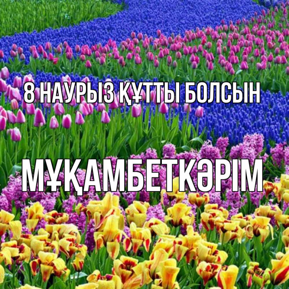 Күн сайын ашық хат с именем, Мұқамбеткәрім 8 наурыз құтты болсын цветы Онлайн тегін жүктеп алу тілектері бар керемет карта 