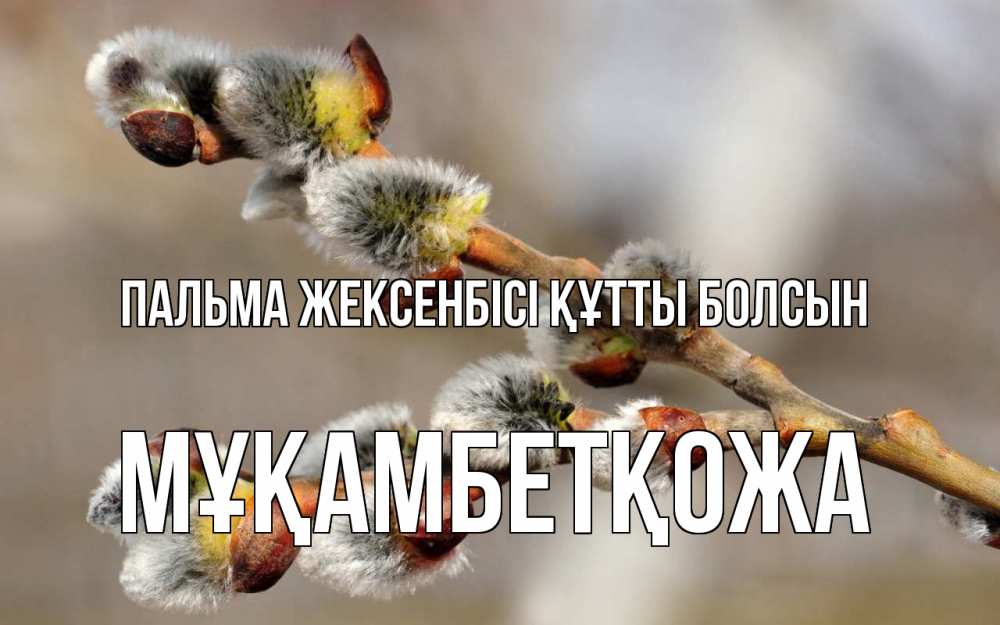 Күн сайын ашық хат с именем, Мұқамбетқожа Пальма жексенбісі құтты болсын Верба Онлайн тегін жүктеп алу тілектері бар керемет карта 