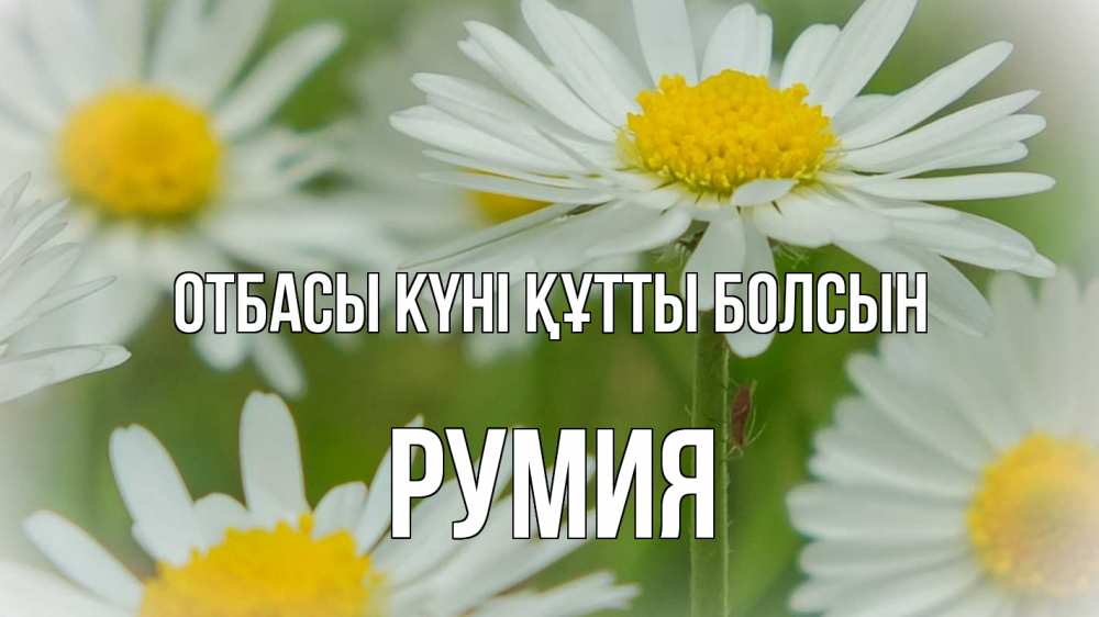 Күн сайын ашық хат с именем, Румия отбасы күні құтты болсын с днем семьи  1 Онлайн тегін жүктеп алу тілектері бар керемет карта 