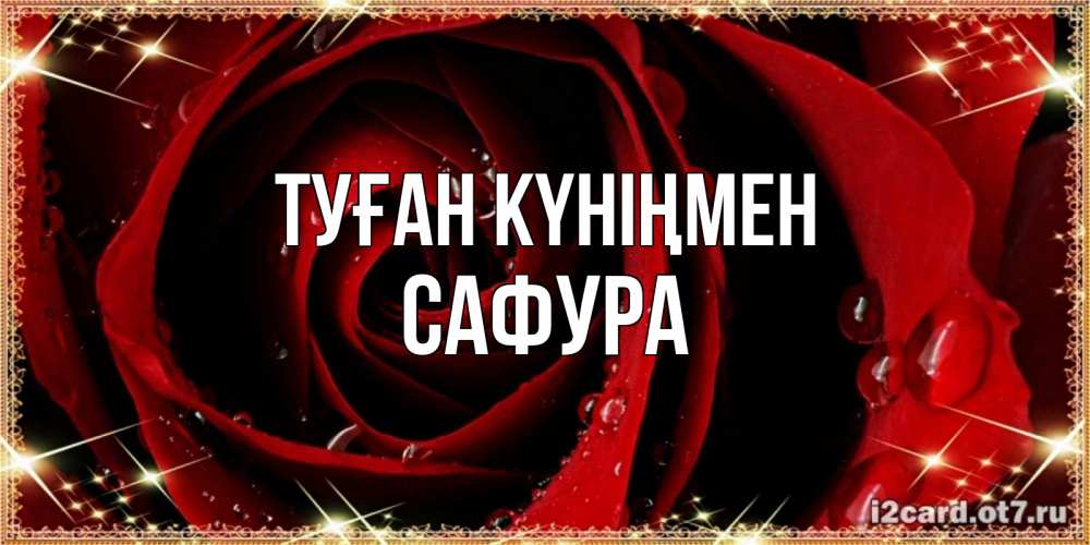 Күн сайын ашық хат с именем, САФУРА Туған күніңмен цветок в росе на день рождения Онлайн тегін жүктеп алу тілектері бар керемет карта 