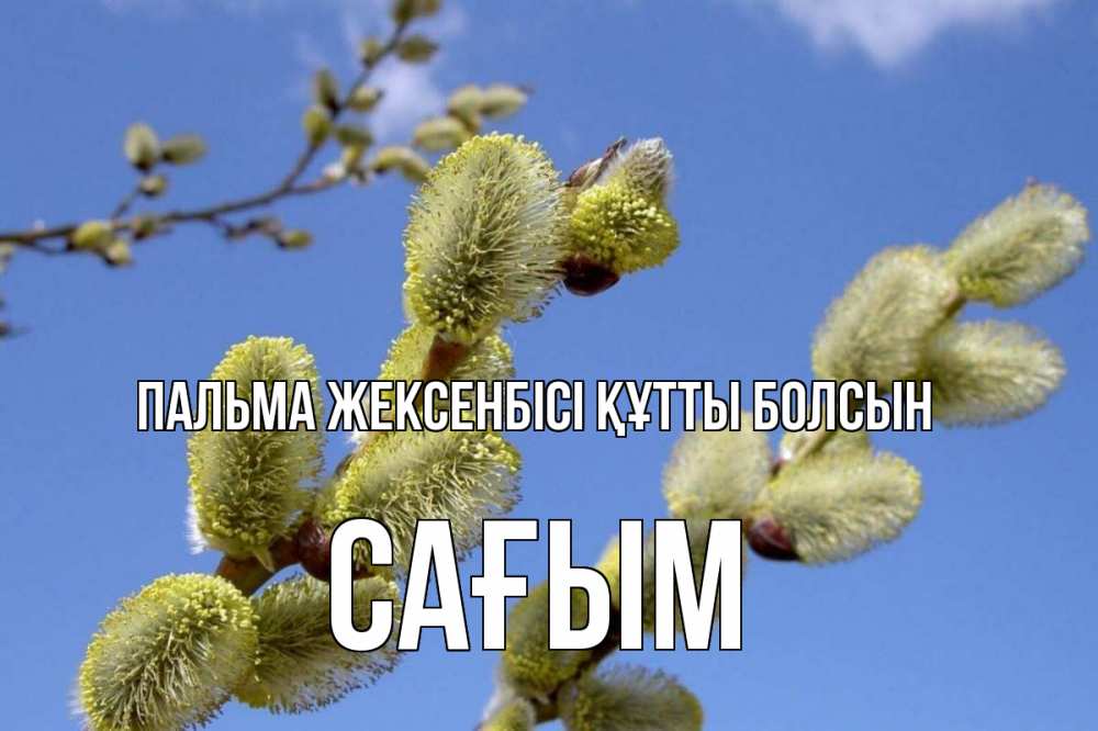 Күн сайын ашық хат с именем, САҒЫМ Пальма жексенбісі құтты болсын верба Онлайн тегін жүктеп алу тілектері бар керемет карта 