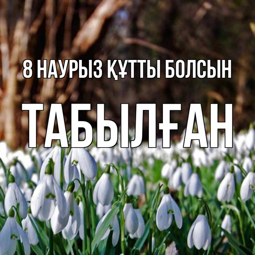 Күн сайын ашық хат с именем, ТАБЫЛҒАН 8 наурыз құтты болсын с подснежниками 1 Онлайн тегін жүктеп алу тілектері бар керемет карта 