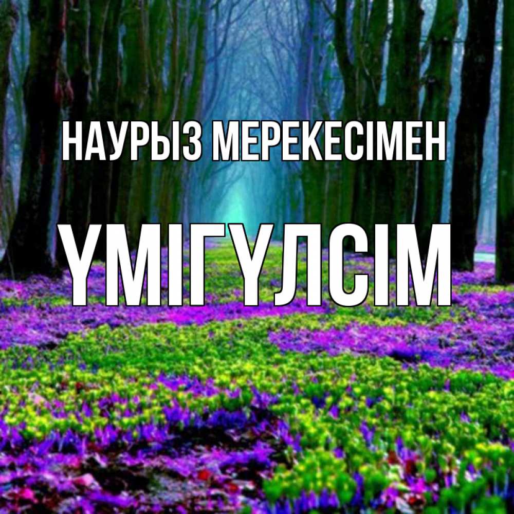 Күн сайын ашық хат с именем, ҮМІГҮЛСІМ Наурыз мерекесімен фиолетовые цветы в лесу 1 Онлайн тегін жүктеп алу тілектері бар керемет карта 