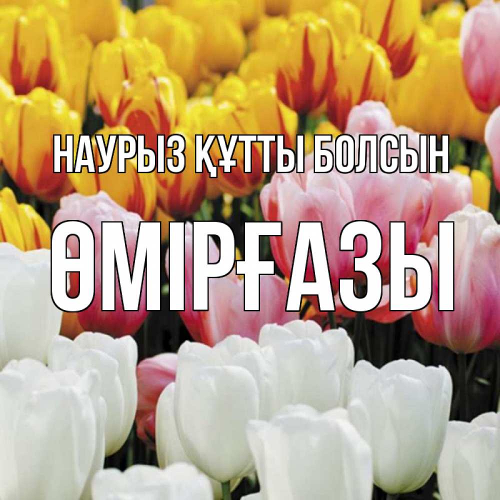 Күн сайын ашық хат с именем, ӨМІРҒАЗЫ Наурыз құтты болсын разноцветные цветы Онлайн тегін жүктеп алу тілектері бар керемет карта 