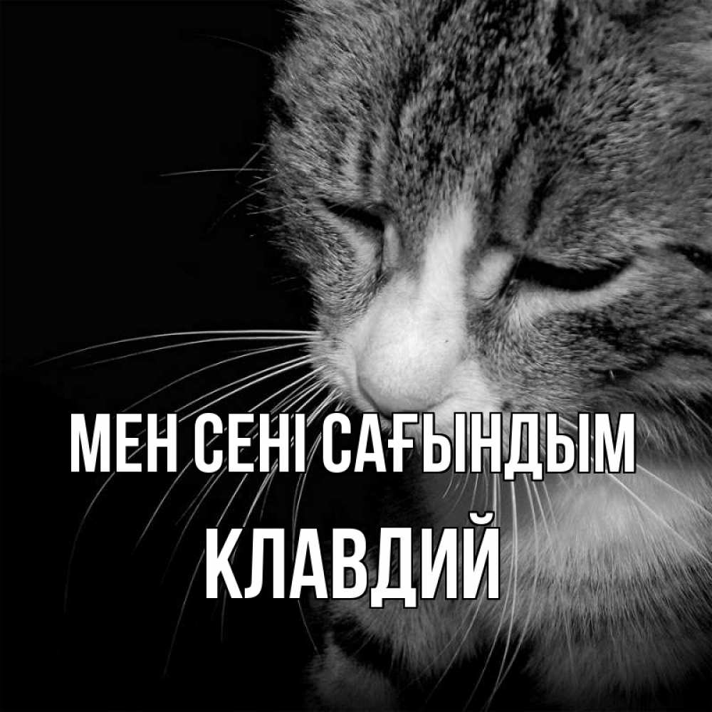 Күн сайын ашық хат с именем, Клавдий Мен сені сағындым мне скучно Онлайн тегін жүктеп алу тілектері бар керемет карта 