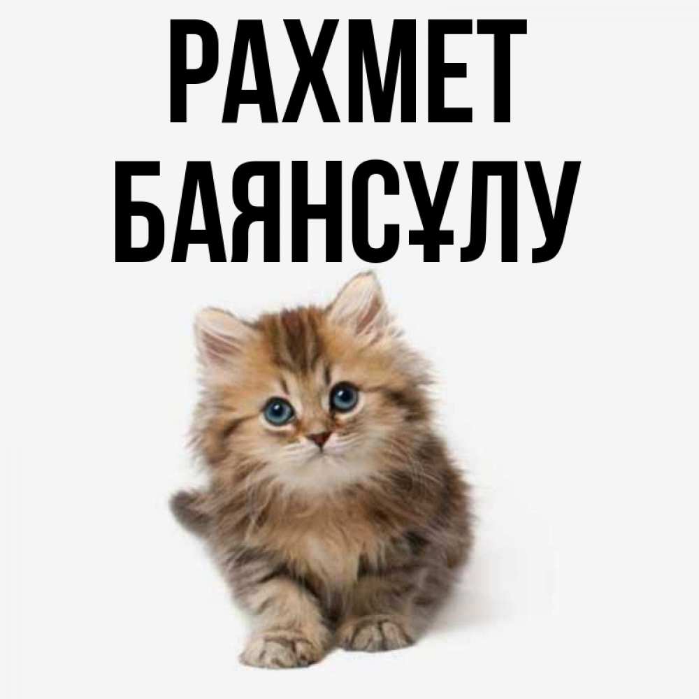 Күн сайын ашық хат с именем, БАЯНСҰЛУ рахмет пушистый котик Онлайн тегін жүктеп алу тілектері бар керемет карта 