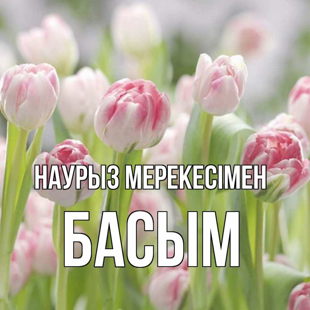 Күн сайын ашық хат с именем, Басым Наурыз мерекесімен цветы Онлайн тегін жүктеп алу тілектері бар керемет карта 