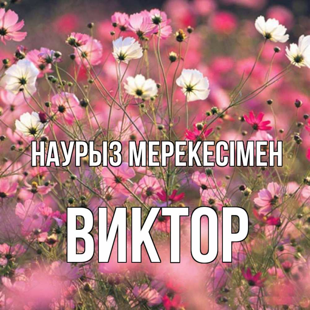 Күн сайын ашық хат с именем, Виктор Наурыз мерекесімен красиво 1 Онлайн тегін жүктеп алу тілектері бар керемет карта 