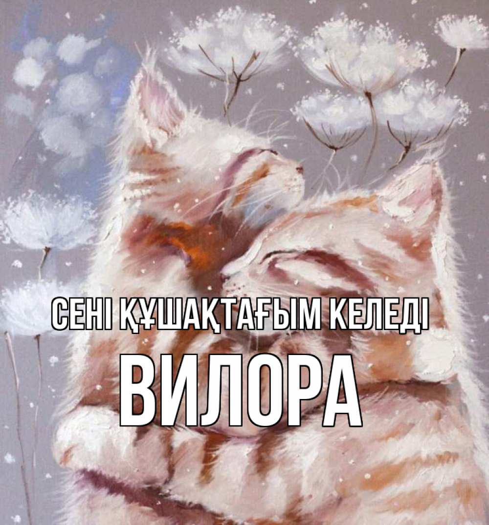 Күн сайын ашық хат с именем, Вилора сені құшақтағым келеді Море и горы Онлайн тегін жүктеп алу тілектері бар керемет карта 