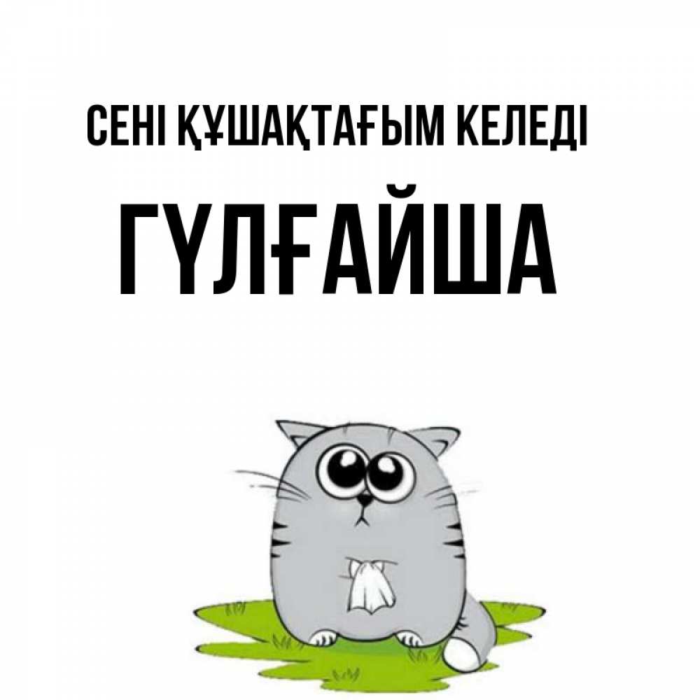 Күн сайын ашық хат с именем, ГҮЛҒАЙША сені құшақтағым келеді котик теребит платочек сидя на травке Онлайн тегін жүктеп алу тілектері бар керемет карта 