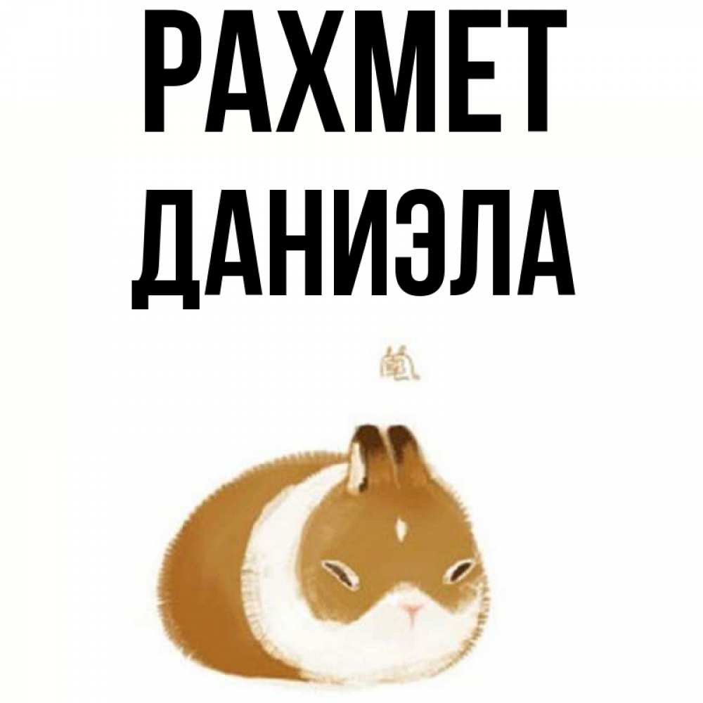 Күн сайын ашық хат с именем, Даниэла рахмет коричнево белый домашний питомец Онлайн тегін жүктеп алу тілектері бар керемет карта 