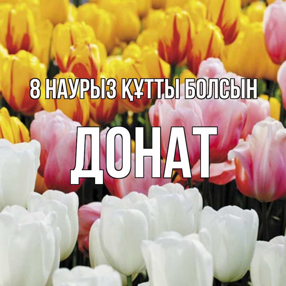 Күн сайын ашық хат с именем, Донат 8 наурыз құтты болсын разноцветные цветы Онлайн тегін жүктеп алу тілектері бар керемет карта 