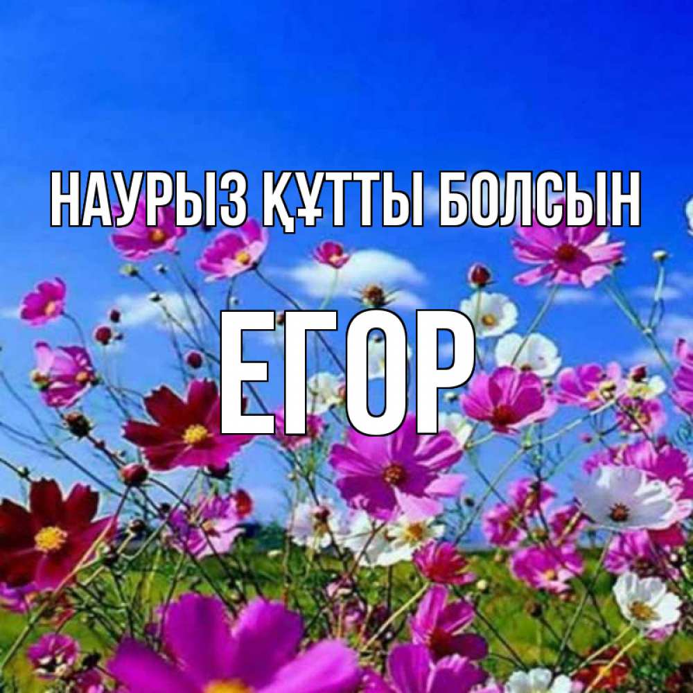 Күн сайын ашық хат с именем, Егор Наурыз құтты болсын цветы Онлайн тегін жүктеп алу тілектері бар керемет карта 
