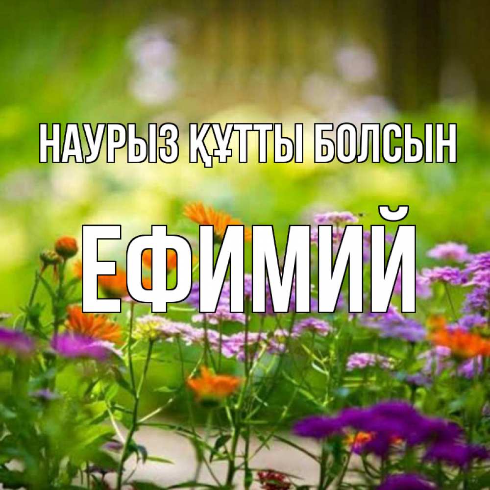 Күн сайын ашық хат с именем, Ефимий Наурыз құтты болсын цветы Онлайн тегін жүктеп алу тілектері бар керемет карта 