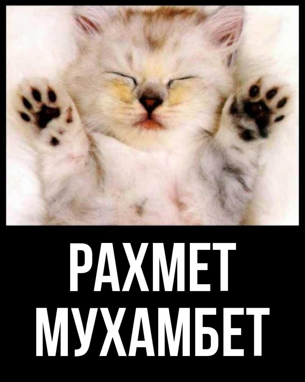 Күн сайын ашық хат с именем, МУХАМБЕТ рахмет маленький котенок Онлайн тегін жүктеп алу тілектері бар керемет карта 