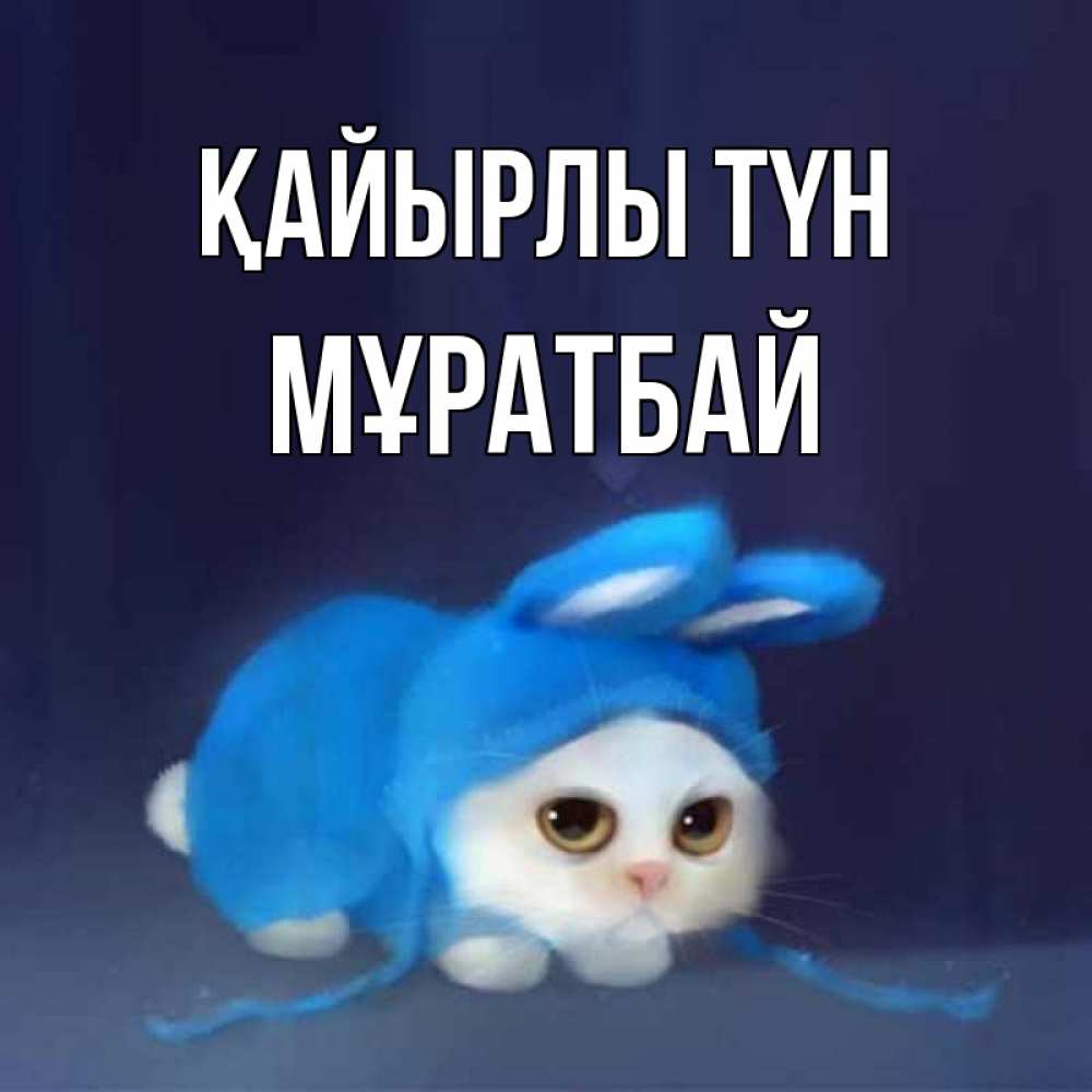 Күн сайын ашық хат с именем, Мұратбай Қайырлы түн кот в голубом костюме кролика с ушками Онлайн тегін жүктеп алу тілектері бар керемет карта 