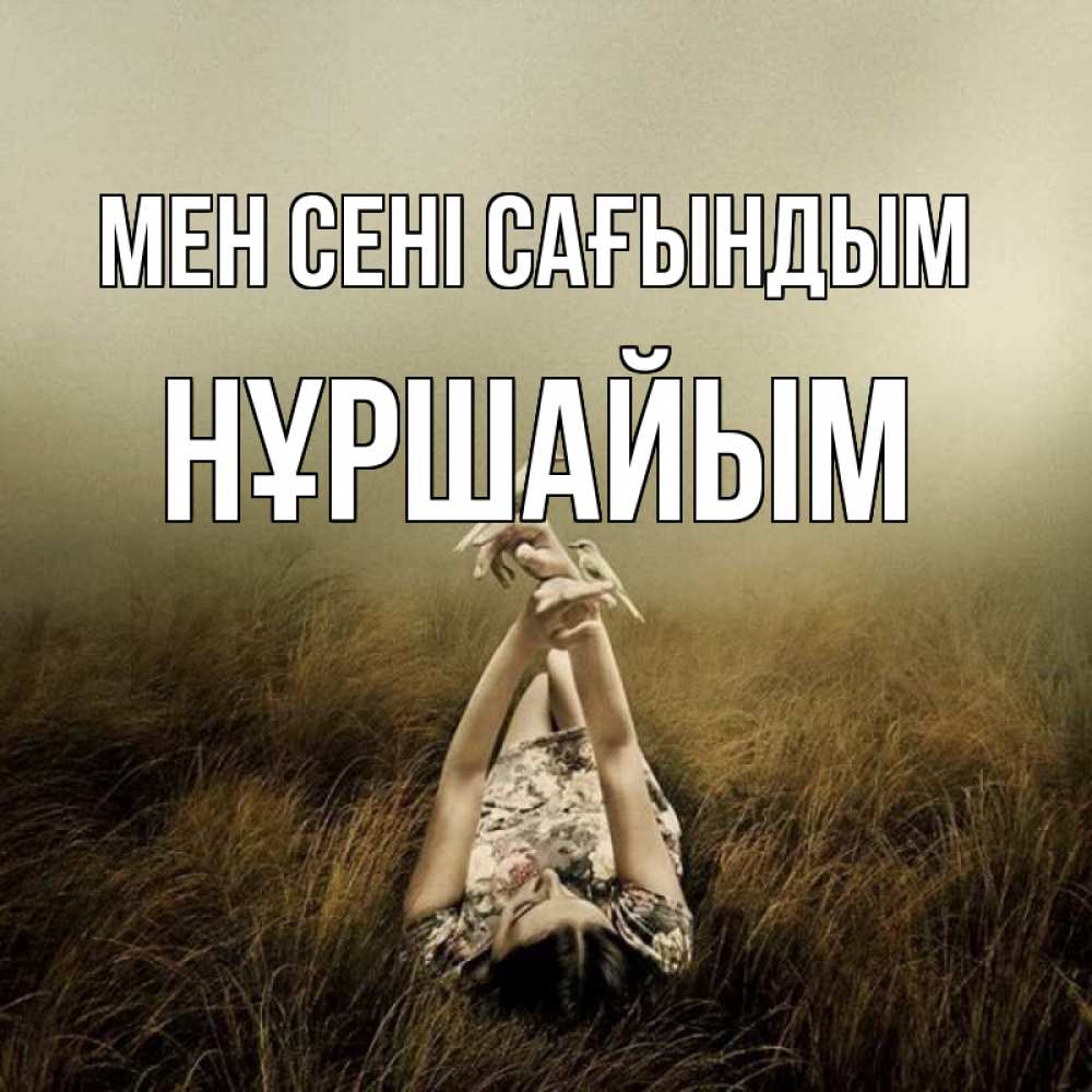 Күн сайын ашық хат с именем, НҰРШАЙЫМ Мен сені сағындым девушка с голубями Онлайн тегін жүктеп алу тілектері бар керемет карта 