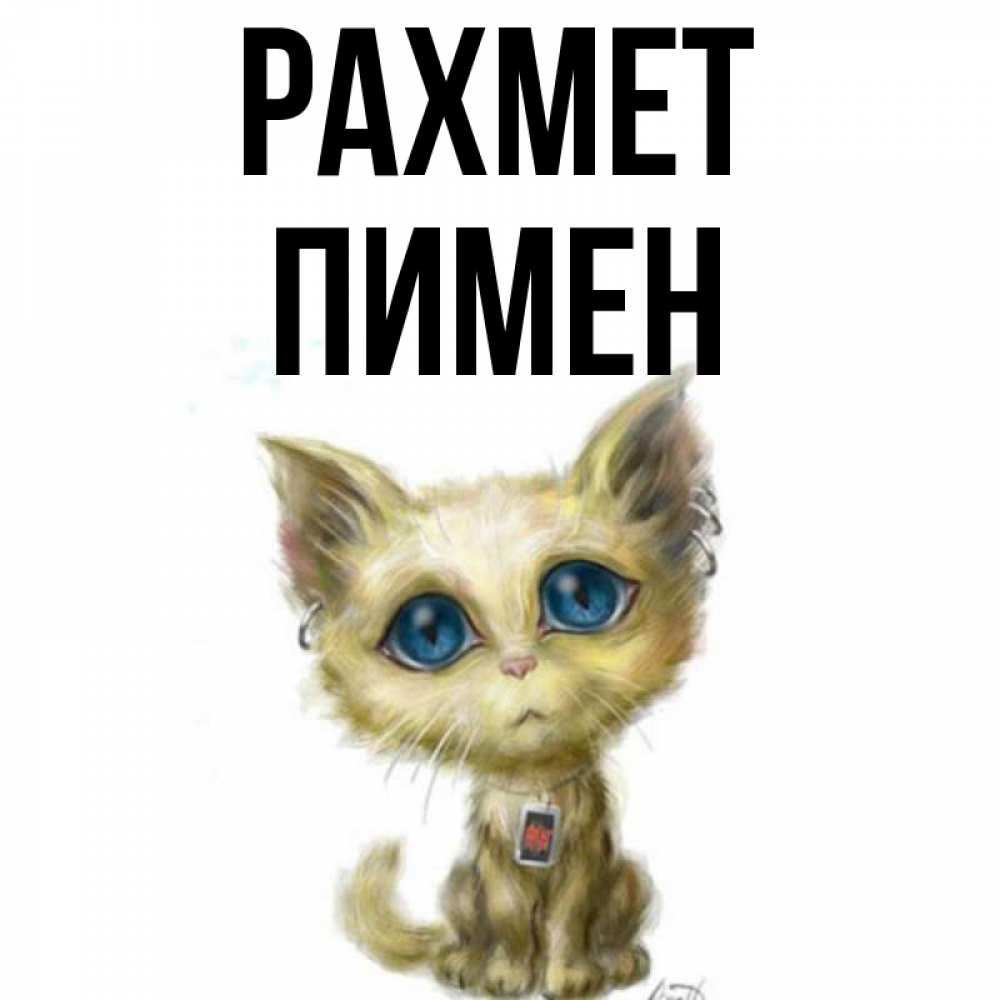 Күн сайын ашық хат с именем, Пимен рахмет рисованный кот благодарит вас Онлайн тегін жүктеп алу тілектері бар керемет карта 
