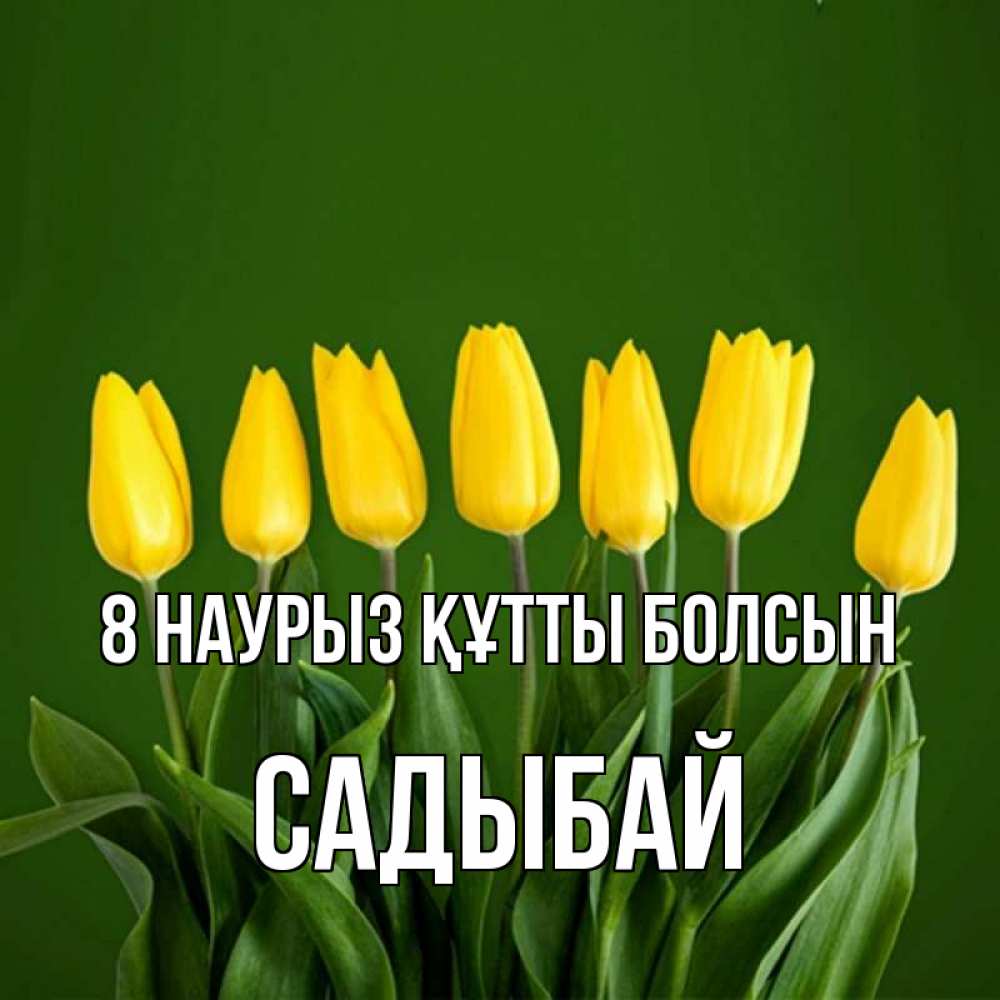 Күн сайын ашық хат с именем, САДЫБАЙ 8 наурыз құтты болсын желтого цвета 3 Онлайн тегін жүктеп алу тілектері бар керемет карта 