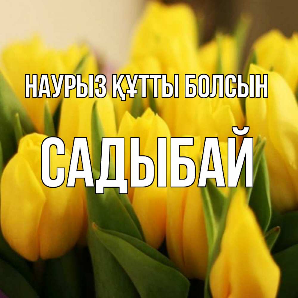 Күн сайын ашық хат с именем, САДЫБАЙ Наурыз құтты болсын цветы Онлайн тегін жүктеп алу тілектері бар керемет карта 