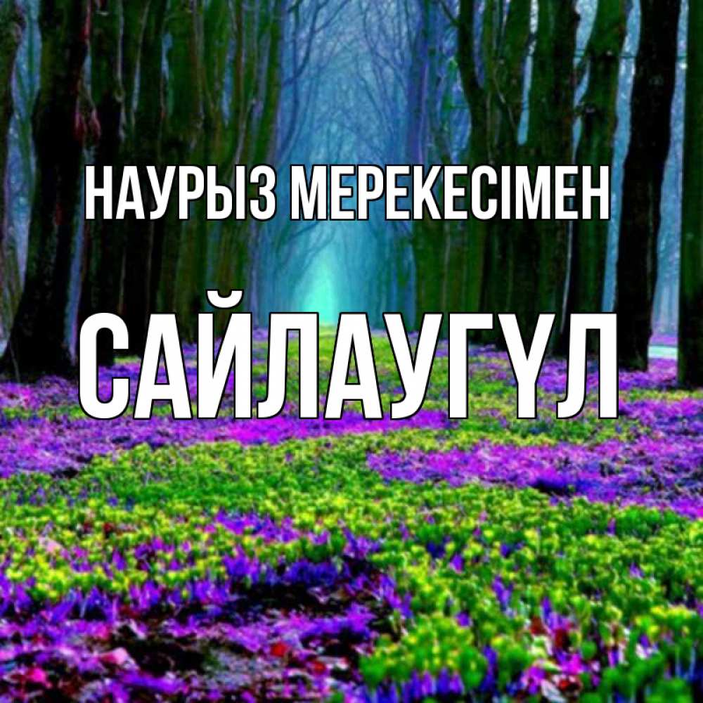 Күн сайын ашық хат с именем, САЙЛАУГҮЛ Наурыз мерекесімен фиолетовые цветы в лесу 1 Онлайн тегін жүктеп алу тілектері бар керемет карта 