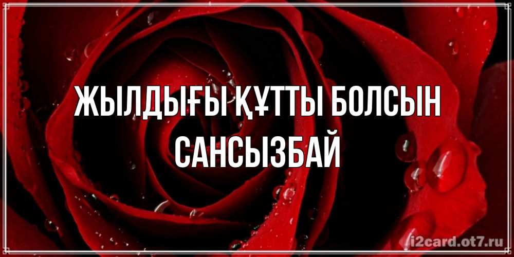 Күн сайын ашық хат с именем, САНСЫЗБАЙ Жылдығы құтты болсын крупная бордовая роза Онлайн тегін жүктеп алу тілектері бар керемет карта 
