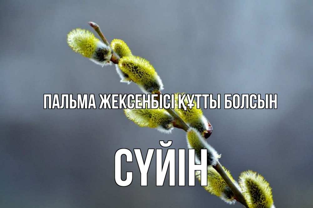 Күн сайын ашық хат с именем, СҮЙІН Пальма жексенбісі құтты болсын верба Онлайн тегін жүктеп алу тілектері бар керемет карта 