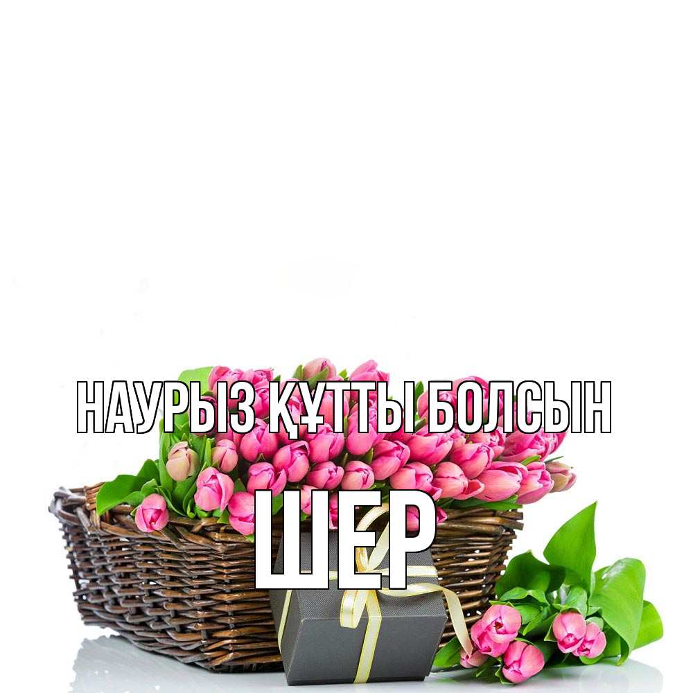 Күн сайын ашық хат с именем, ШЕР Наурыз құтты болсын цветы Онлайн тегін жүктеп алу тілектері бар керемет карта 
