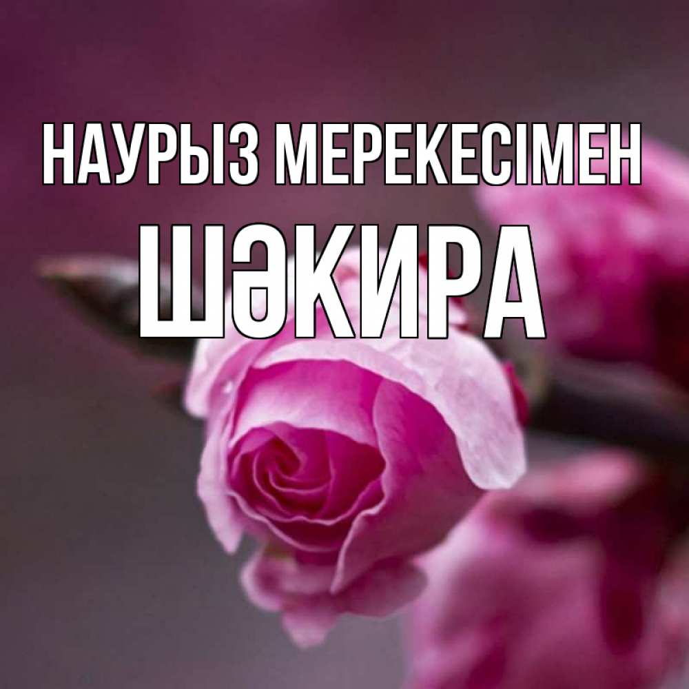 Күн сайын ашық хат с именем, ШӘКИРА Наурыз мерекесімен весна Онлайн тегін жүктеп алу тілектері бар керемет карта 