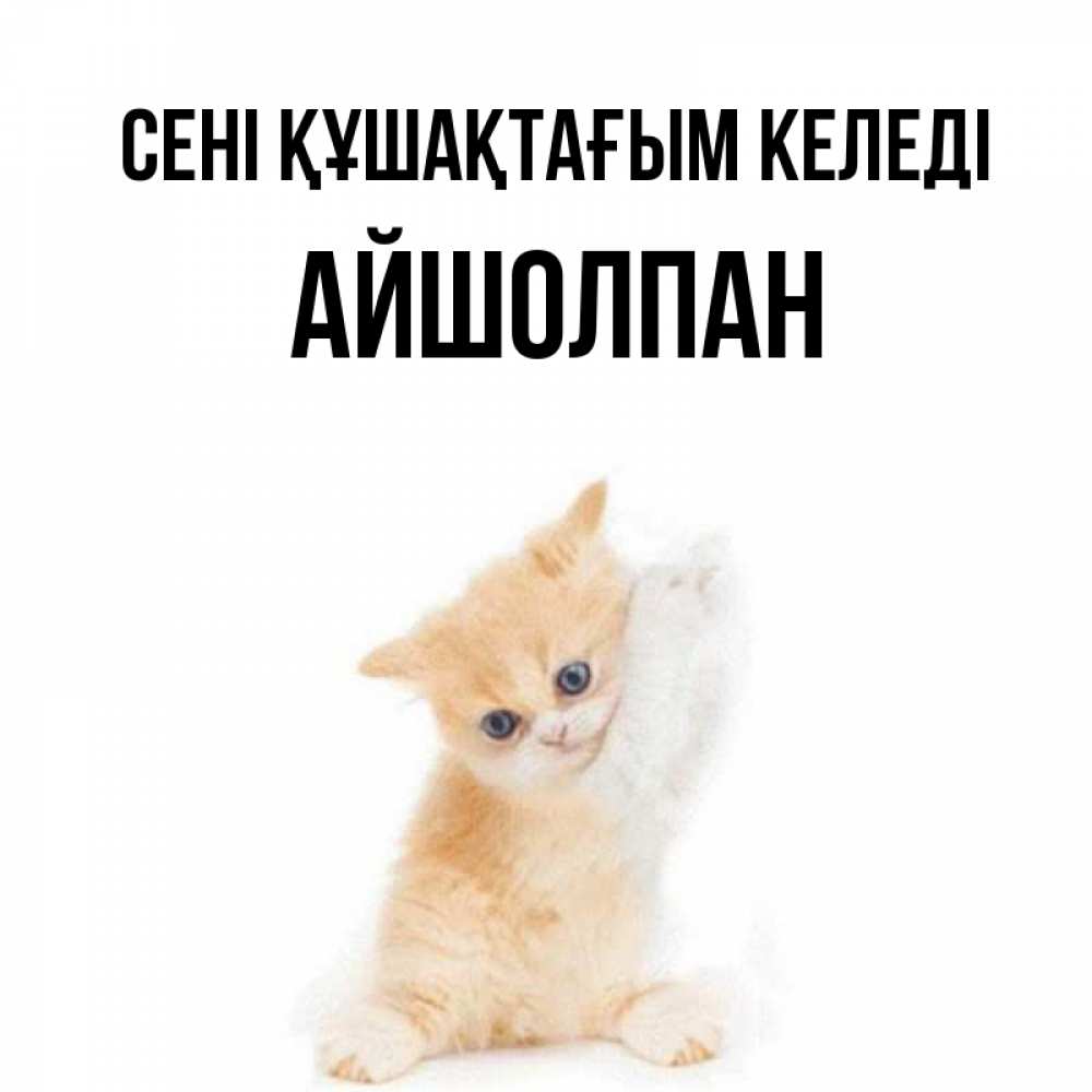 Күн сайын ашық хат с именем, АЙШОЛПАН сені құшақтағым келеді я хочу очень скорее обнимаешек Онлайн тегін жүктеп алу тілектері бар керемет карта 