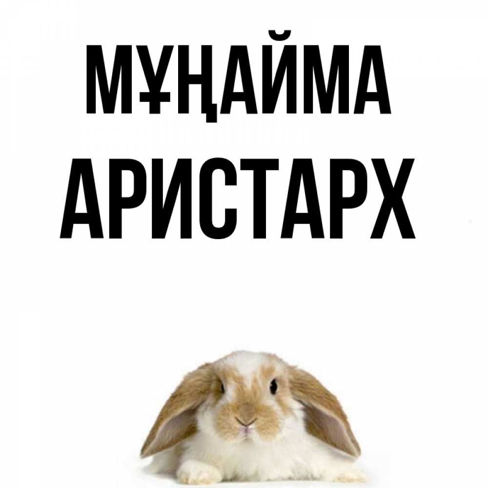 Күн сайын ашық хат с именем, Аристарх Мұңайма коричнево белый заяц с большими ушками Онлайн тегін жүктеп алу тілектері бар керемет карта 