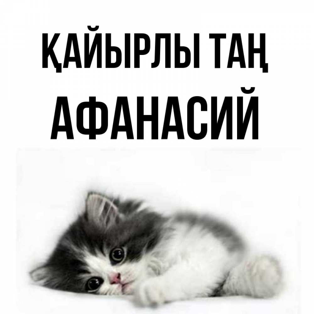 Күн сайын ашық хат с именем, Афанасий Қайырлы таң кот лапки Онлайн тегін жүктеп алу тілектері бар керемет карта 