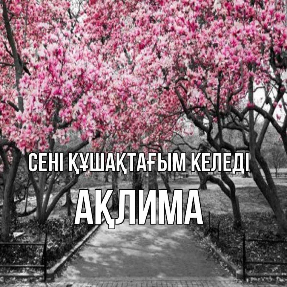 Күн сайын ашық хат с именем, АҚЛИМА сені құшақтағым келеді обработанное фото Онлайн тегін жүктеп алу тілектері бар керемет карта 