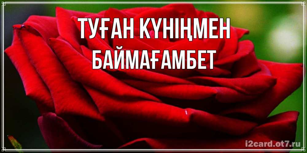 Күн сайын ашық хат с именем, Баймағамбет Туған күніңмен розочка очень красивая Онлайн тегін жүктеп алу тілектері бар керемет карта 
